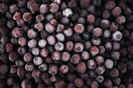 Frozen blueberry background