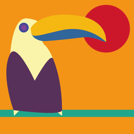 colorful toucanの写真素材