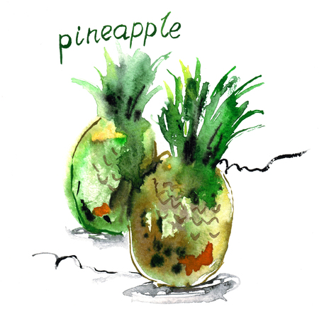 Watercolor hand painted pineapples on white background. Creative food illustrationの写真素材