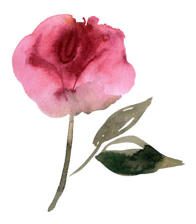 Cut Out of a Peonies. Watercolor floral illustration. High quality photoの写真素材