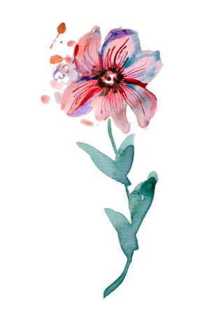 Watercolor floral design. Pink and Blue flowers and watercolor splashes. High quality photoの写真素材