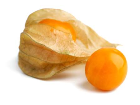 Physalis isolated on white backgroundの写真素材