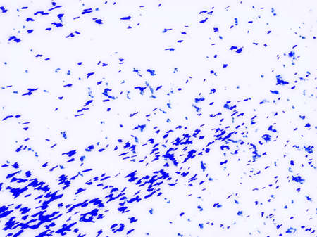 Abstract blurred background. Elegant  wallpaper design for web or graphic art projects. Background for business cards and covers. Design for paper and postcards. Template for packaging.の写真素材