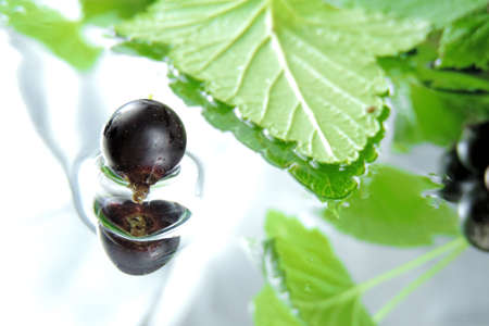 black currant reflected in water selective focusの写真素材