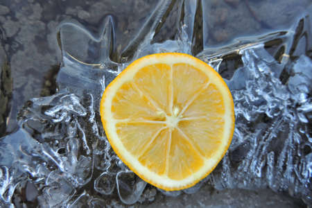 round slice of citrus, lemon on patterned iceの写真素材