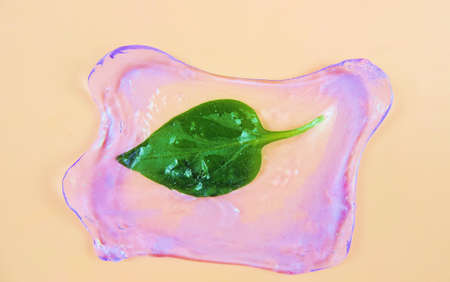 green leaf in transparent slime, beautiful background,  Minimal creative art concept, organic and...