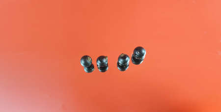 black currant on a mirror wet red surface, minimalismの写真素材