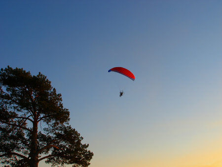 paraglider (motorized paraglider) in the sky, sunset, black tree silhouetteの写真素材