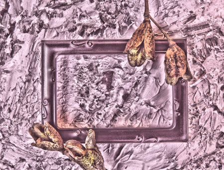 dried flowers, black frame, hand drawn textured embossed background, grunge style and abstract chaotic patternの写真素材