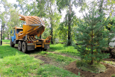 Angarsk, Russia - August 4, 2020: Tree transplanter heavy machine. machine for transplanting large trees. Planting large spruce trees in the parkのeditorial素材