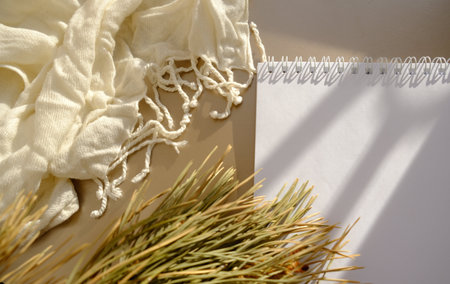 partial blurred view of cozy flat lay with plaid of neutral shades notepad and branch of christmas tree, morning light and shadowの写真素材