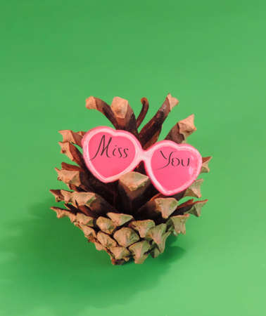 pine cone in pink glasses shape heart and inscription Miss youの写真素材