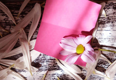 Blurred for empty card with summer flower chamomile. Light and shadow. nostalgic vintage background. Retro tonedの写真素材