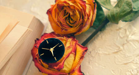 Vintage shabby black and golden watch, book and two dried red and yellow roses on in the style of Provence. Toned and haze effect. Processed with vintage style, the transience of time life conceptの写真素材