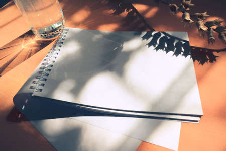 Vase with dried flowers, open notepad and glass of water on neutral background casting shadows....