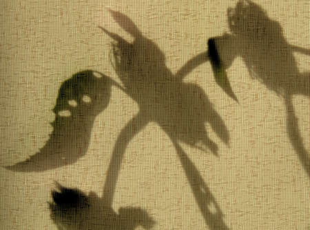 Vintage textile background with blurred abstract shadow floral pattern. Light and shadow sunset on old retro beige fabric texture. Retro styleの写真素材