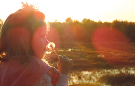 girl child in the twilight light of the setting sun, holding a white fluffy dandelion, glare of sun raysの写真素材