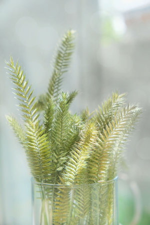 Vase with dried flowers, field dry spikelet on light background casting shadows. Minimal modern interior decoration concept. wabi sabi style aestheticsの写真素材