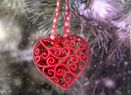 Red Christmas toy hanging on branch. Concept of New Year celebration or Valentine's dayの写真素材