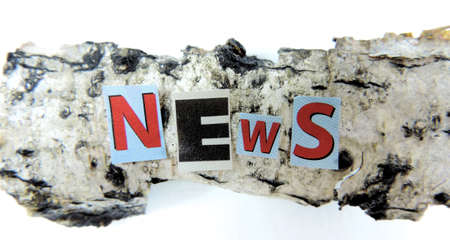 colored letters in the word News on the birch bark surfaceの写真素材