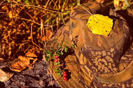 Autumn forest scene, camouflage hat on trunk of tree. Travelling, camping, hunting. Sunsetの写真素材