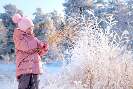 winter joy. Little girl making winter bouquet from beautiful frozen branches. Cold and travel,...