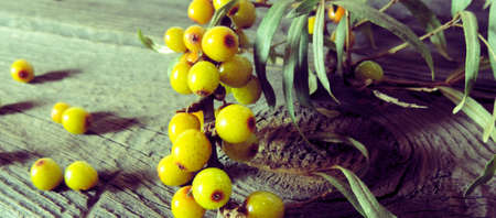 yellow ripe sea buckthorn berries on a old wooden surface, useful for healthy berries