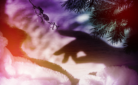 Blurred shadow of female hand and branch of Christmas tree, wooden Christmas star toy. Christmas still life, play of light and shadow, shadow play illusion and holiday conceptの写真素材