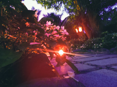 Blurred view night scene at a tropical garden, courtyard. Night view of flowerbed with flowers...