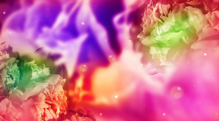 Dreamy gradient background with colorful peonies merging in a bright colored flower composition. Peaceful or serene backgrounds. Template bannerの写真素材