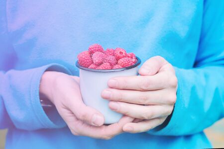 hands holding a metal mug with raspberries. juicy, tasty, healthy snack. harvest. gentle toning, soft focusの写真素材