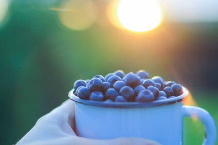 ripe blueberries in a metal mug. the summer harvest of berries. space for textの写真素材