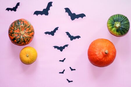 four colorful pumpkins, black paper bats on a pink background.の写真素材