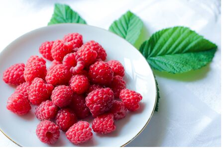 Raspberry berries close-up. berries in a plate. juicy fresh berries in summer. healthy food