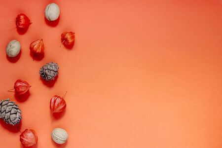 autumn background with physalis and pine nuts. Hello autumn. Flat lay, top view, copy space