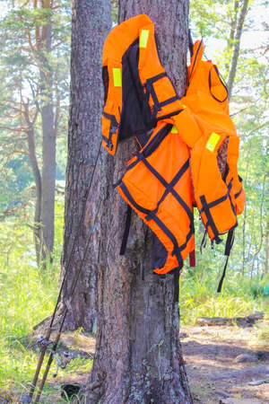 life jackets hang from a tree, fishing rods at the tree trunk. fishermen are preparing for fishing. outdoor recreation.の写真素材
