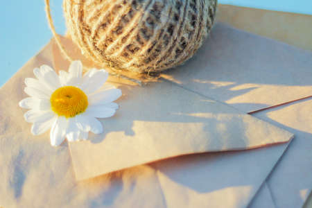 white chamomile on a kraft envelope, send or receive a message, greeting card, place for text,...