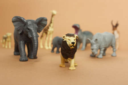 plastic toy figures of animals. animals follow the lion. concept of nature protection. space for text, top view.の写真素材