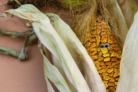 dried corn with eyes. the concept of improper food storage, humor, and horror.の写真素材