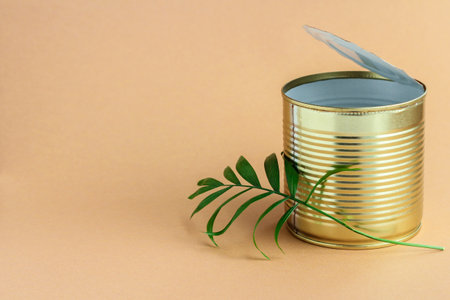 an empty tin can on a brown background and a green leaf of a plant next to it. concept of environmental protection from pollution, ecologyの写真素材
