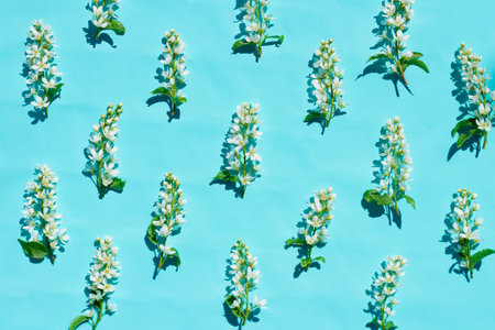 blooming cherry blossoms on a blue background with hard shadows from the sun. spring pattern, spring...