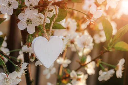 a blooming cherry branch with a wooden heart. spring awakening of nature. selective focus, space for textの写真素材