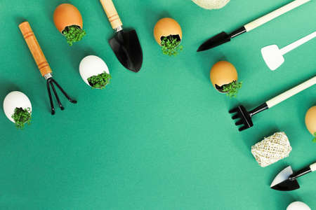 planting seedlings in eggshells and growing useful micro-greenery at homeの写真素材