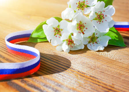 The concept of the Day of Russia. The ribbon is painted in the colors of the Russian flag and a...