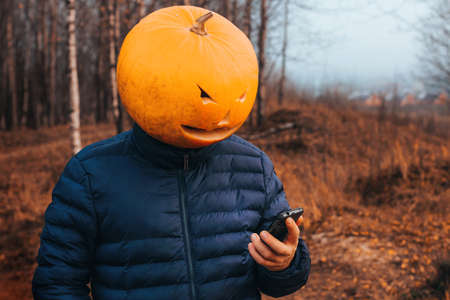 Scary Halloween man in a pumpkin head holds a mobile phone in his hands. Mr Jack o Lantern.の写真素材