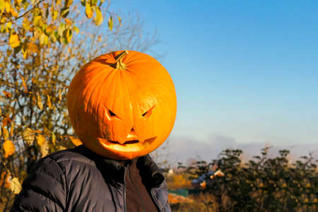 Halloween pumpkin head man in Jack lantern costume in autumn sunny forest.の写真素材
