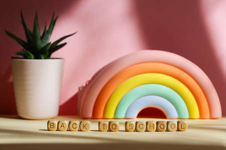 a pencil case in the form of a bright rainbow and a succulent in a pot on a pink background....