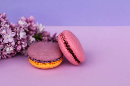Close up two french colorful cakes macarons and lilac flowers on violet background.