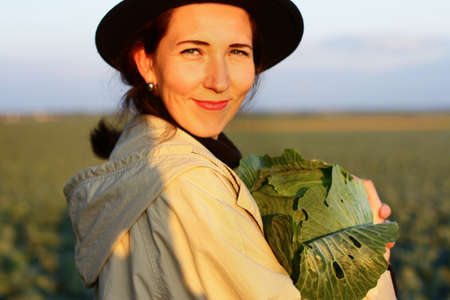 Woman picking cabbage vegetable at field. Female farmer working at organic farm. Harvesting at autumn seasonの写真素材