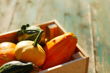 harvest decorative pumpkins in a wooden box.の写真素材